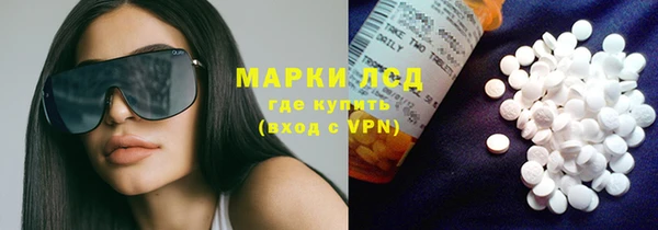 гашик Алексин