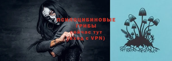 гашик Алексин