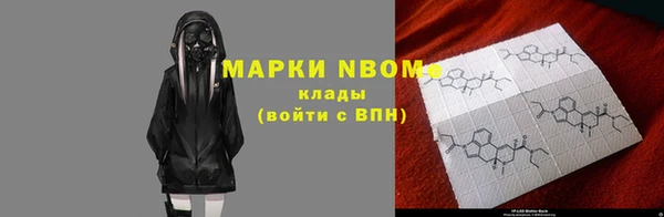гашик Алексин