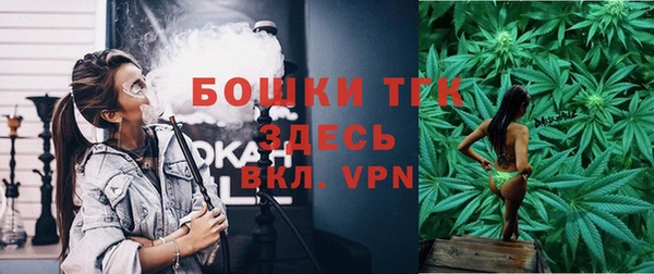 гашик Алексин
