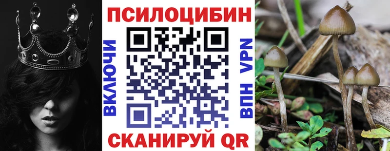 Псилоцибиновые грибы GOLDEN TEACHER  Юрьевец 